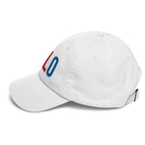 BFLO Pattern Dad hat