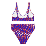Buffalo High Waisted Bikini
